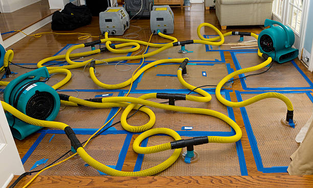 Professional Burst Pipe Water Damage technician working in Cedar Valley, UT